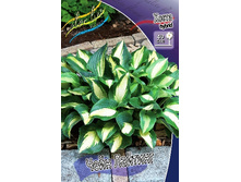 156,3���. ����� ���� �������(�������� ���� �� 1 ��., ����������� ����� 1��.).jpg