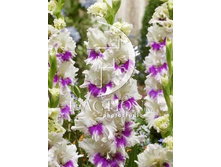 9,11���. ��������� �����(���������� ������ ������ ���������� �� 8 ��.)���17.jpg