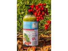 ����������� ���� ��� ���� "������", 264