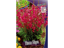 29,2���. ��������� ���� ���(�������� ���� �� 2 ��., ����������� ����� 1��.).jpg