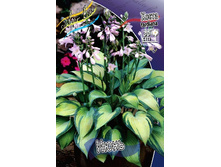 180���. ����� ����(�������� ���� �� 1 ��., ����������� ����� 1��.).jpg