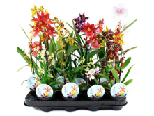 ������� ���� 1���. 12�40. 349,65 ���.jpg