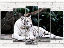 ����� ���� 5-1.jpg