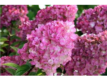 ��������� ���. ������ ����� �1,5-336�.jpg