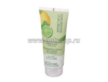 ��������� ����� ��� ���� �����������, 200 �� 99 ��