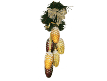 �������� ��������