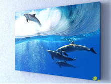 �������� 1-1.jpg