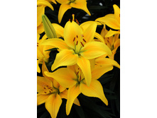 29,84���. ����� ����� ����(��� 5 ��. ���������� �� 2��.).jpg