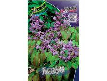 159,5���. ������� �������(�������� ���� �� 1 ��., ����������� ����� 1��.).jpg