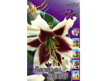 40,8���. ����� ������� ����(��� 5 ��. ���������� �� 2��.).jpg