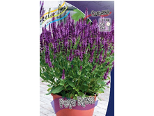 91,6���. ������� ���� �����(�������� ���� �� 1 ��., ����������� ����� 1��.).jpg