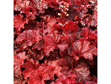 235,3���. ������� ����� ����(�������� ���� �� 1 ��., ����������� ����� 1��.).jpg