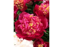 1127,8���. ���� ������(�������� ���� �� 1 ��., ����������� ����� 1��.)���17.jpg