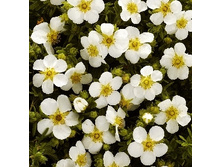 122���. �������� ������������� ���� ����.jpg