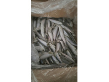 ������ �������� ������.jpg