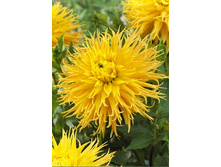 83,5���. �������� �����(�������� ���� �� 1 ��., ����������� ����� 1��.).jpg