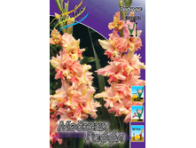 9,11���. ��������� ������ �������(���������� ������ ������ ���������� �� 8 ��.).jpg