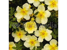 122���. �������� ������������� ��������.jpg