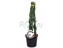 ����������� ������� 3 ���� 11�35. 411,6 ���.jpg