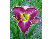 156,3���. �������� ����� �������(�������� ���� �� 1 ��., ����������� ����� 1��.)���17.jpg