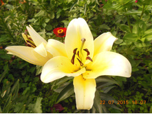 DSCN1540.JPG