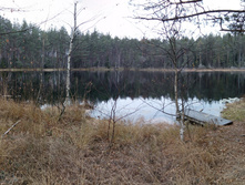 IMG 20161029 110559.jpg