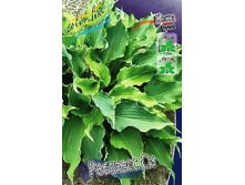 62,35���. ����� �������� ��(�������� ���� �� 2 ��., ����������� ����� 1��.).jpg