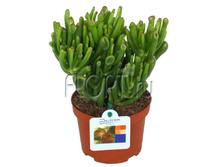 �������� ������ 10�20. 198,23 ���.jpg