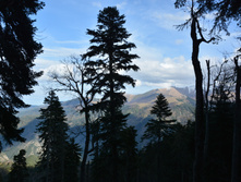 DSC 7502.JPG