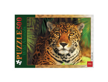 ���� STANDARD 500 ���������, �2, �������, 340�460��, 500��2 01975 133,49.jpg