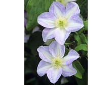 136,6���. �������� ���������(�������� ���� �� 2 ��., ����������� ����� 1��.).jpg