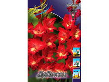 9,37���. ��������� �������(���������� ������ ������ ���������� �� 7 ��.).jpg