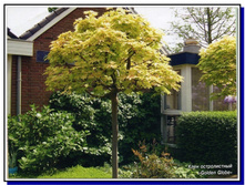 �̣� ������������ ������ ���� ����� 130��-1290�.jpg