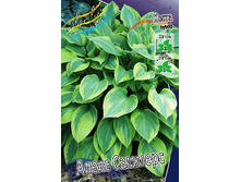 153,2���. ����� ����� �������(�������� ���� �� 1 ��., ����������� ����� 1��.).jpg