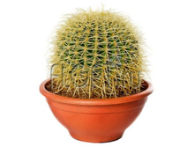 ����������� ������� 25�25. 1714,65 ���.jpg