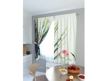 �������� ������.jpg