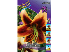 40,8���. ����� �����(��� 5 ��. ���������� �� 2��.).jpg