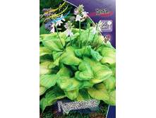 59,2���. ����� ���������(�������� ���� �� 2 ��., ����������� ����� 1��.).jpg