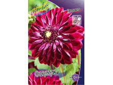 77,6���. �������� �������(�������� ���� �� 1 ��., ����������� ����� 1��.).jpg