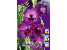 10,87���. ��������� ������(���������� �� ����� �������� �� 7��.).jpg