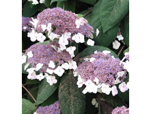 167���. ��������� �������� ��������.jpg