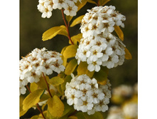 127���. ������ �������� ���� �������.jpg