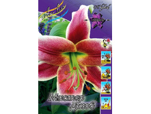 42,32���. ����� ������ ����(��� 5 ��. ���������� �� 2��.).jpg