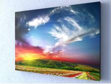 ���� �������� 1-1.jpg