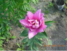 DSCN2143.JPG