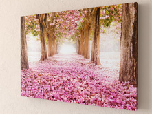 ������� ����� 1-1.jpg