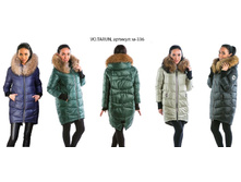 XL ����� ���� 6600�