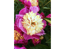 456,4���. ���� ������(�������� ���� �� 1 ��., ����������� ����� 1��.)���17.jpg