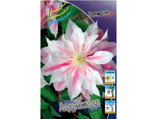 136,6���. �������� ���������(�������� ���� �� 2 ��., ����������� ����� 1��.).jpg