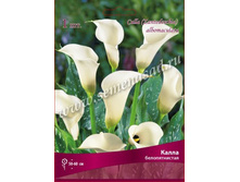 ����� �������������.jpg